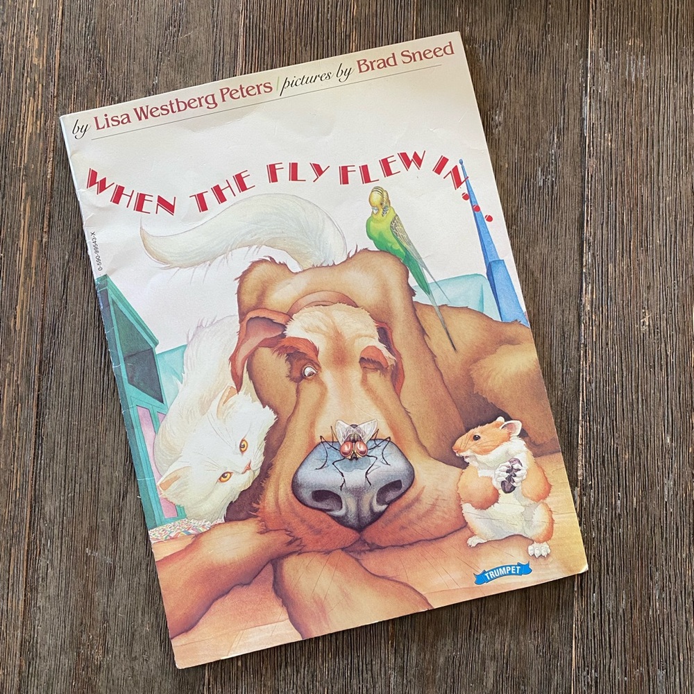 4/$10 When The Fly Flew In book